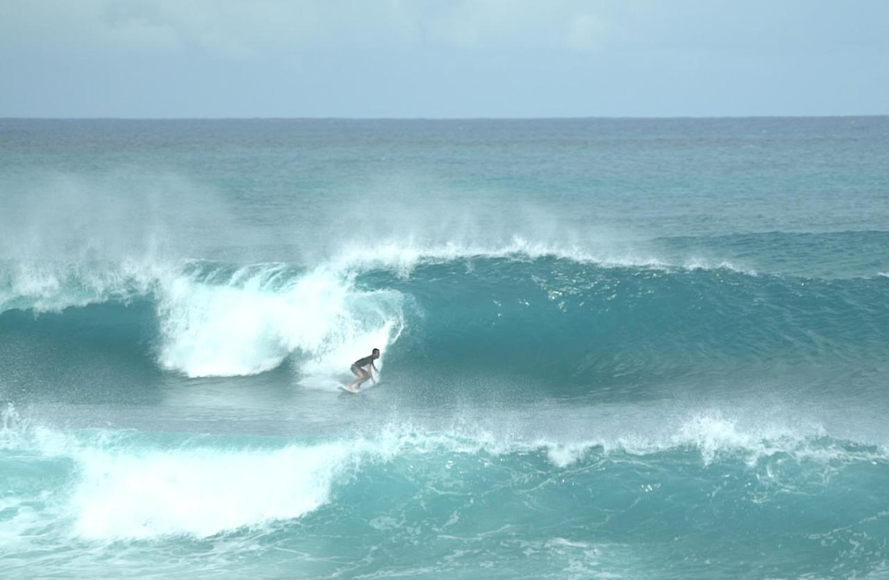 Surf Camp Kokoplaj, A 150M De La Plage Et Du Spot De Surf Sainte-Anne  Dış mekan fotoğraf