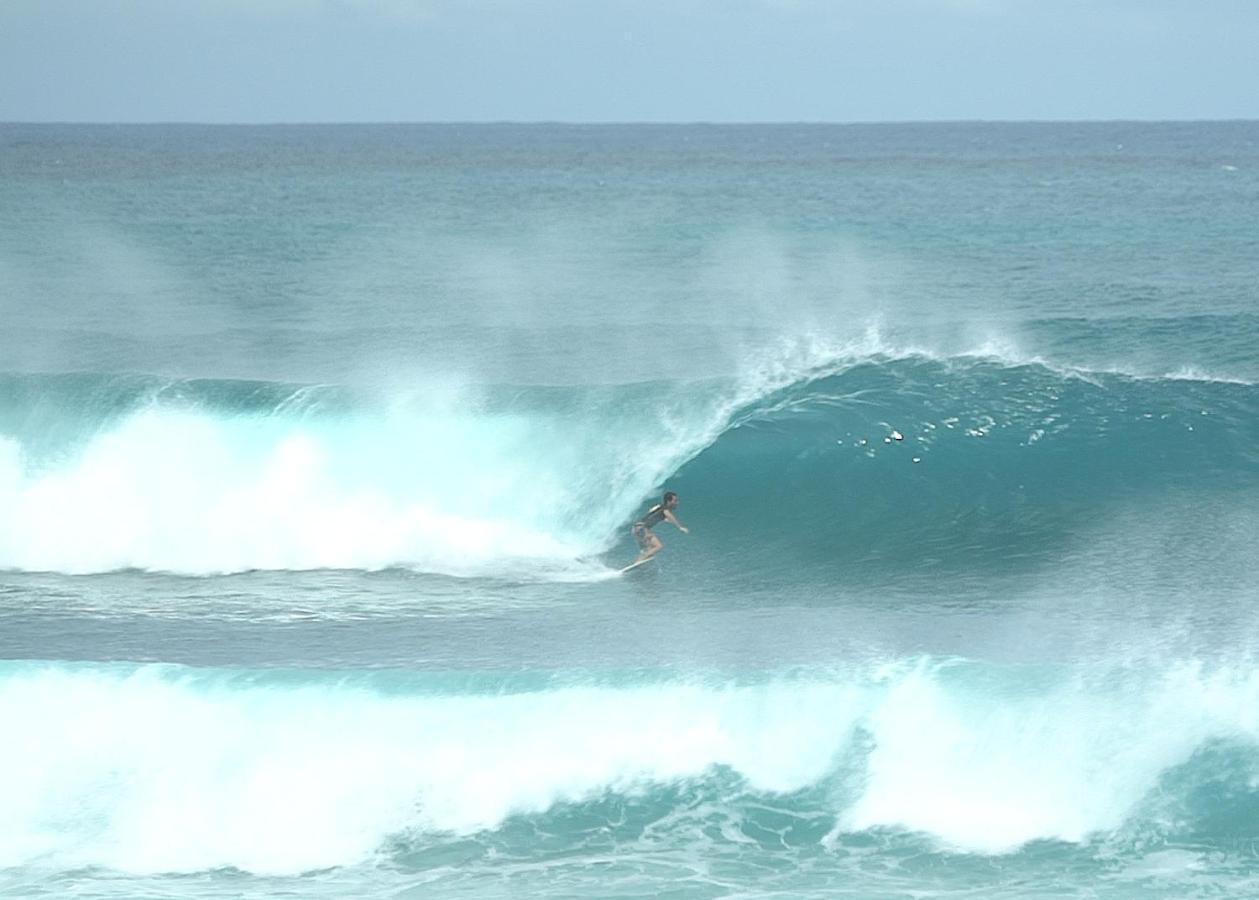 Surf Camp Kokoplaj, A 150M De La Plage Et Du Spot De Surf Sainte-Anne  Dış mekan fotoğraf